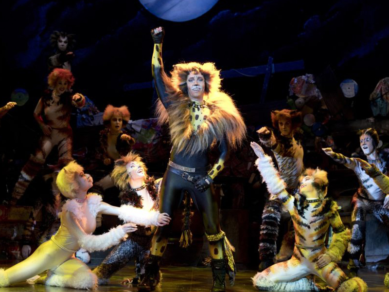 CATS - The Musical, Ronacher, Schedule & Tickets
