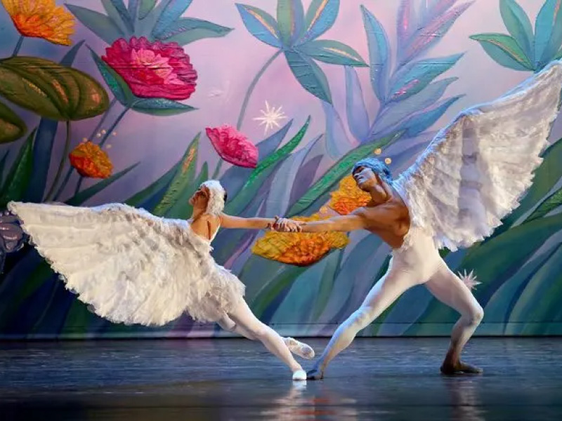 Nutcracker! Magical Christmas Ballet